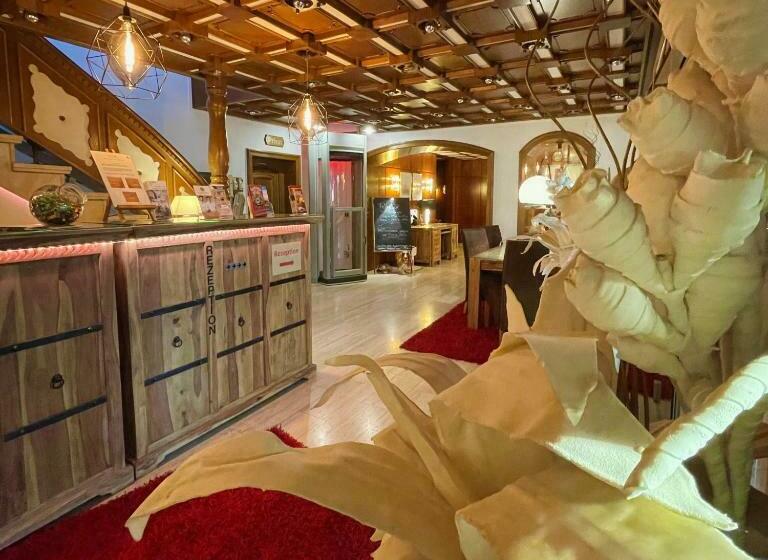 酒店 Villa Am Park