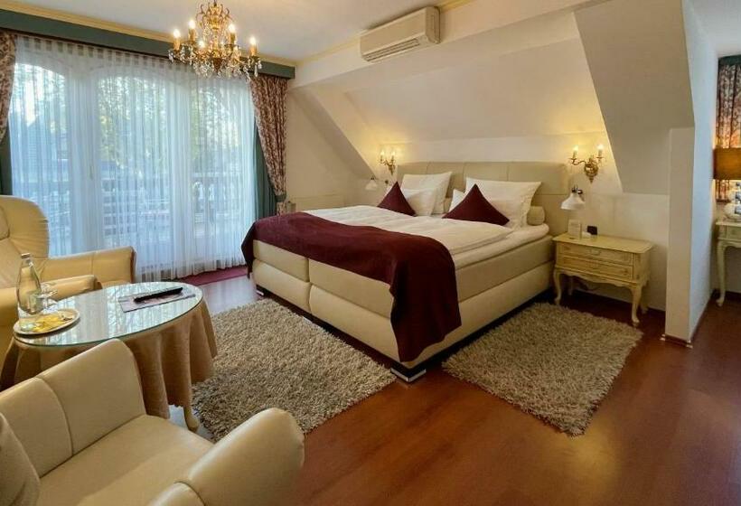 酒店 Villa Am Park