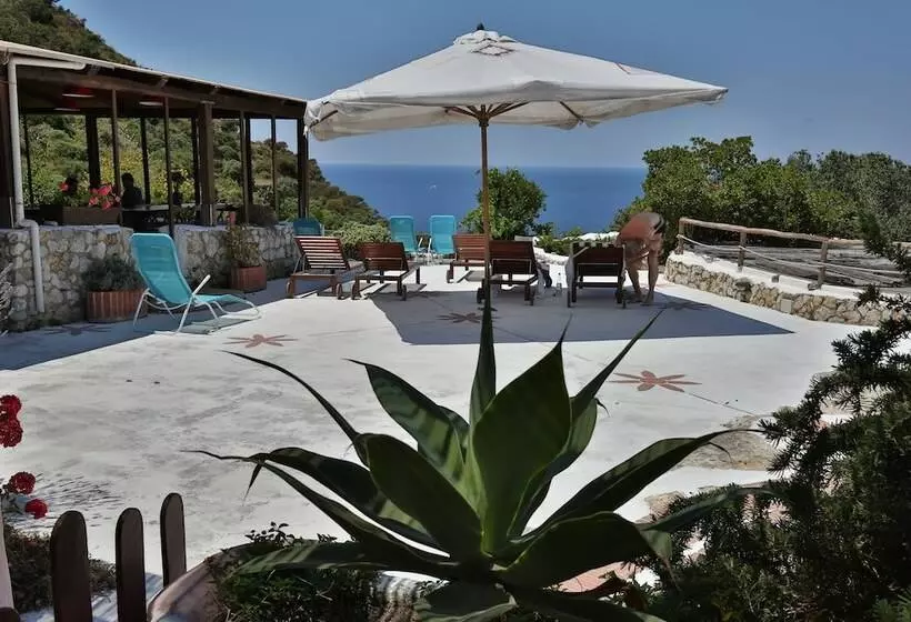 Aamiaismajoitus (B&B) Il Cigno