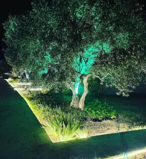 ベッドアンドブレックファースト Adasu Otel