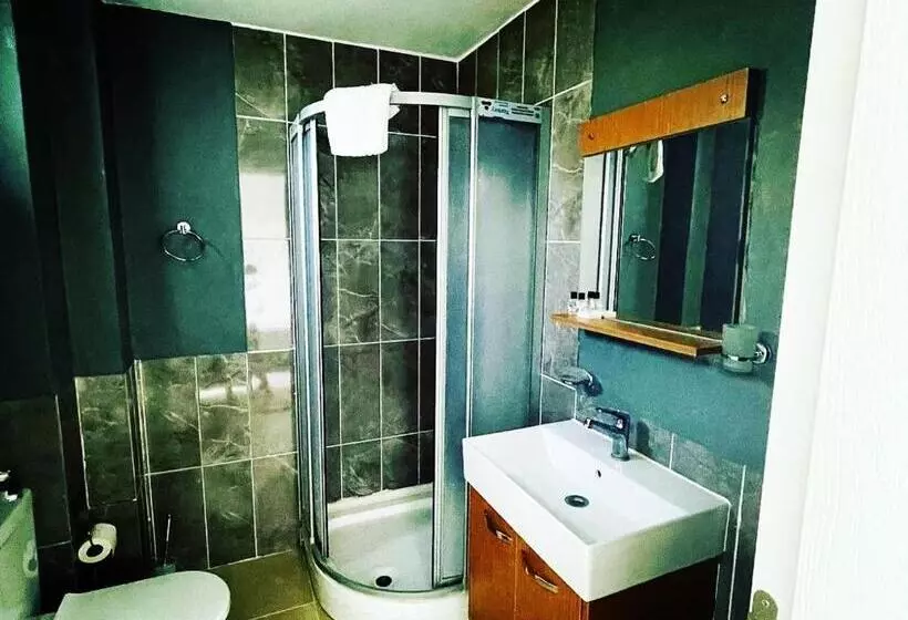 ベッドアンドブレックファースト Adasu Otel