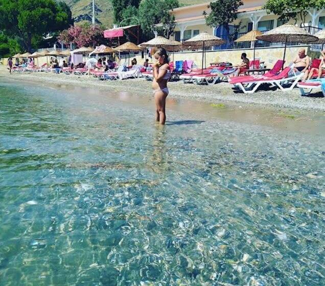 住宿加早餐  Adasu Otel