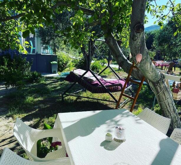 住宿加早餐  Adasu Otel