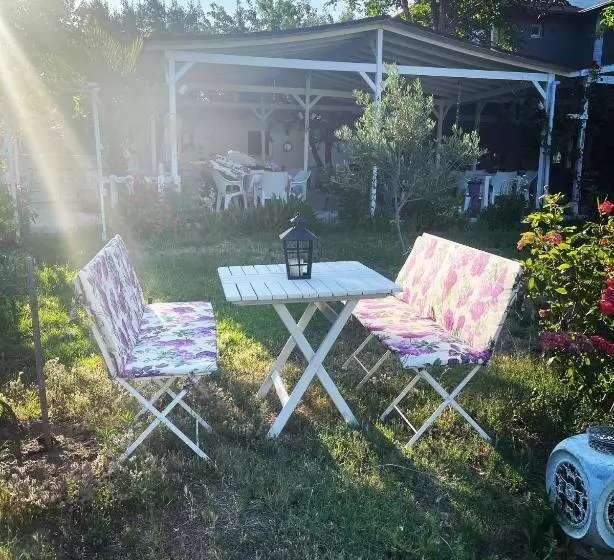 ベッドアンドブレックファースト Adasu Otel