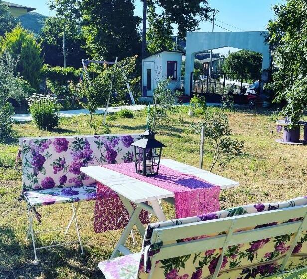 住宿加早餐  Adasu Otel