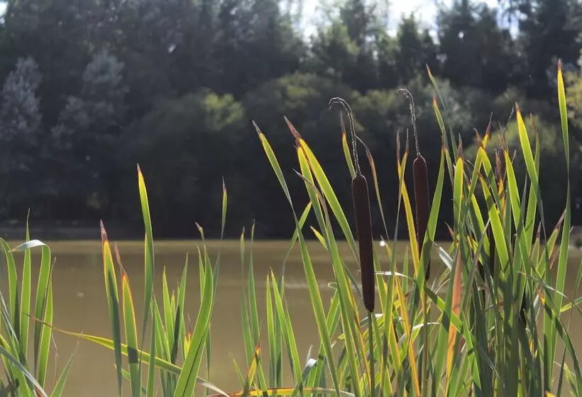 Aamiaismajoitus (B&B) Chateau De La Chasse Beauvais