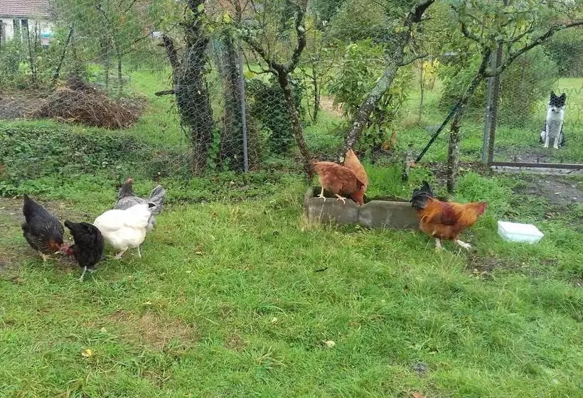 ベッドアンドブレックファースト Domaine De La Rue