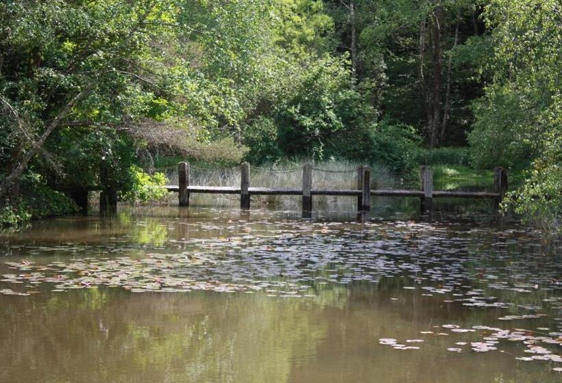 צימר Spruce Lake