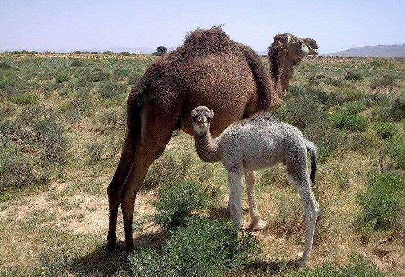 Отель Le Relais Talsint