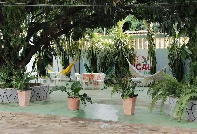 ホテル Pousada Tropical