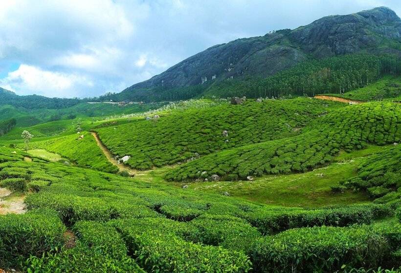 בית מלון כפרי Tea Mount Suites