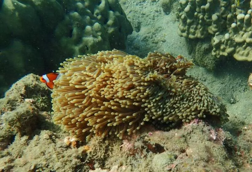 Hotelli The Moken Eco Village   Sha Plus