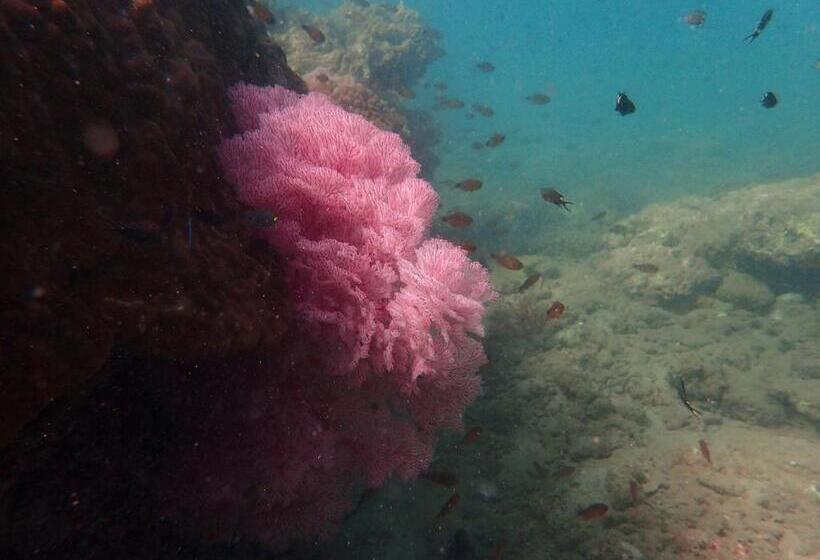 호텔 The Moken Eco Village   Sha Plus