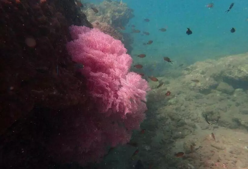 Hotelli The Moken Eco Village   Sha Plus