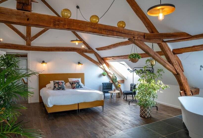 פנסיון La Maison De Souhey