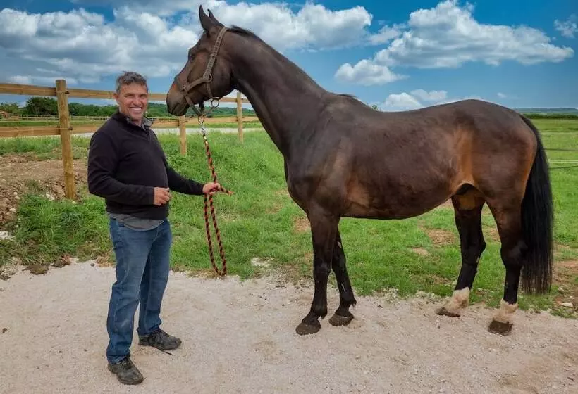 Majatalo La Maison De Souhey