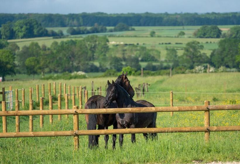 פנסיון La Maison De Souhey