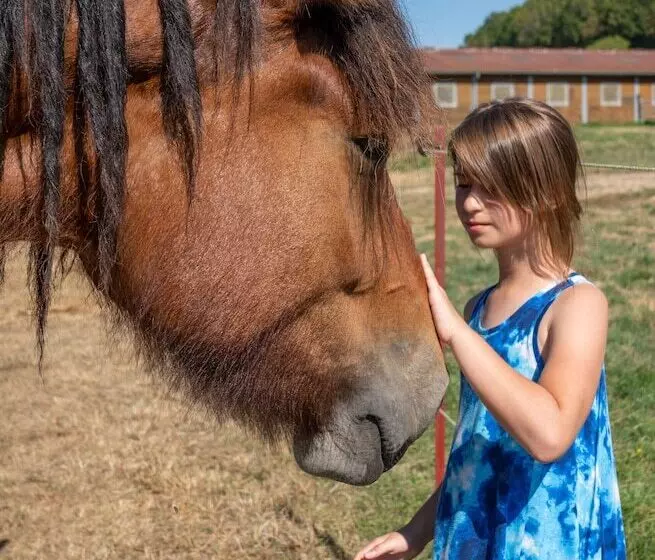 Majatalo La Maison De Souhey
