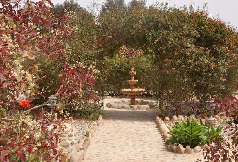 Пансион La Palmeraie De Massa