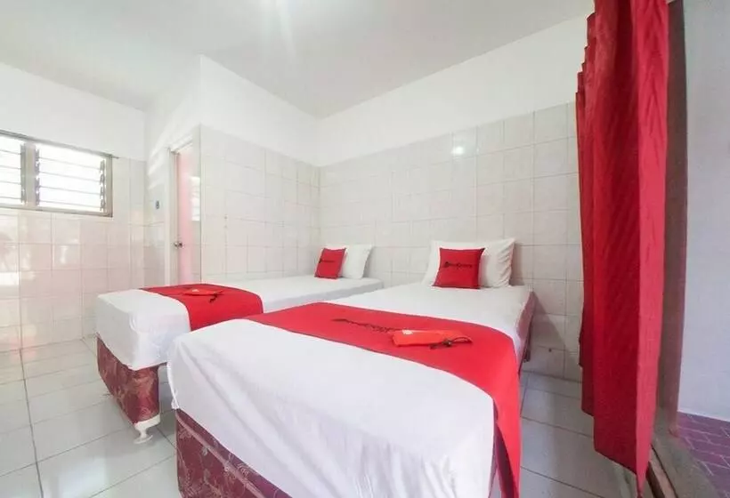 Majatalo Reddoorz @ Tretes 2