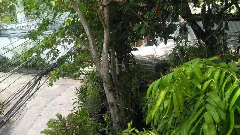 ペンション Teachers