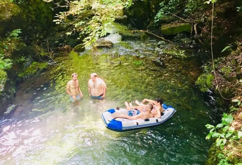 Vanguard Backpackers   Hostel