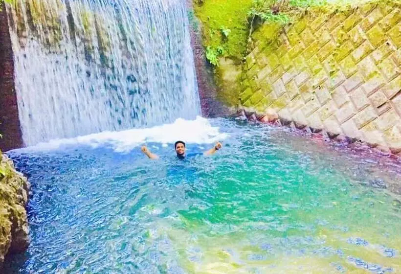 Vanguard Backpackers   Hostel