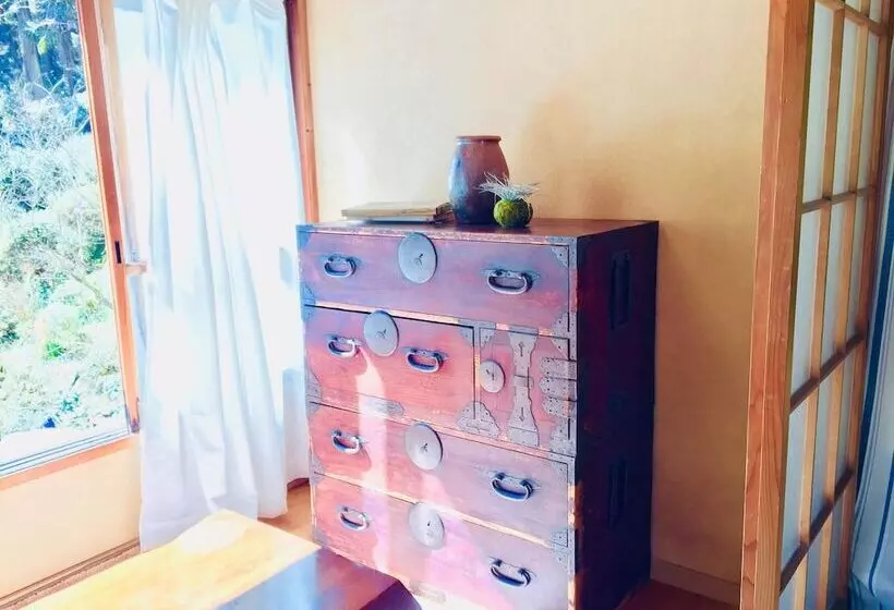 Vanguard Backpackers   Hostel