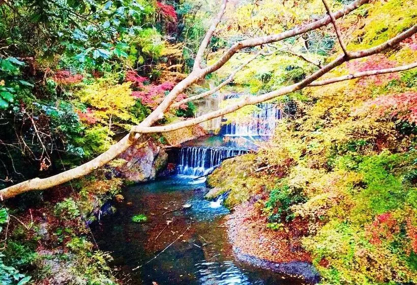 Vanguard Backpackers   Hostel