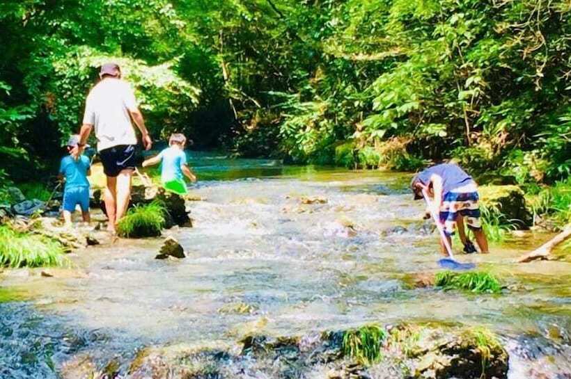 Vanguard Backpackers Hostel