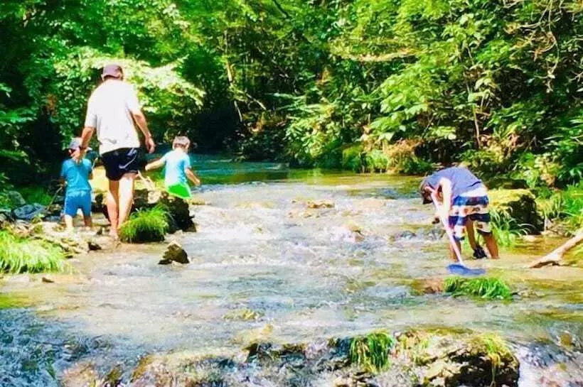 Vanguard Backpackers   Hostel