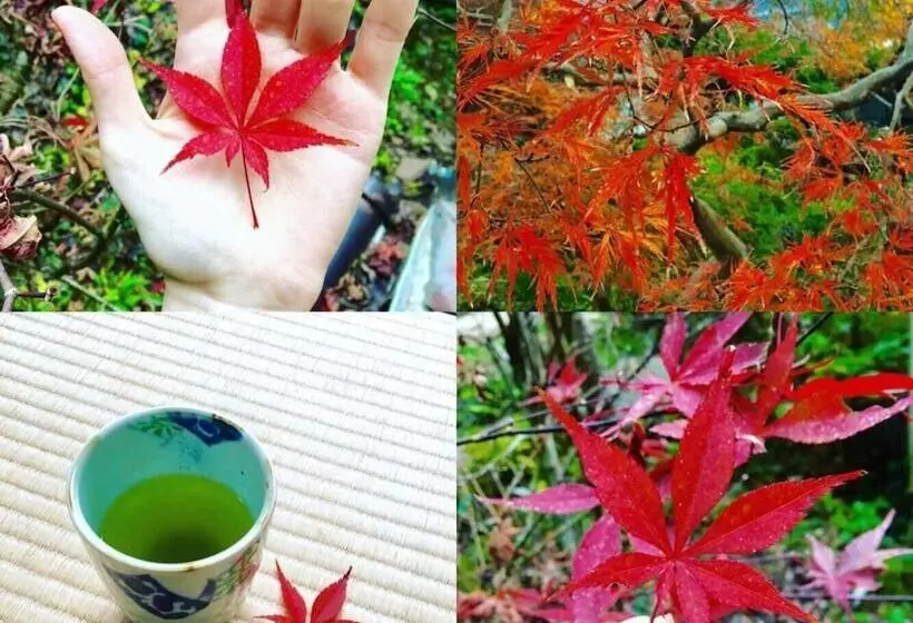 Vanguard Backpackers   Hostel