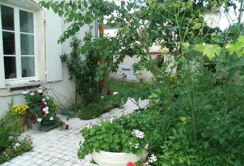 צימר La Fleur De Vigne   Maison D Hotes