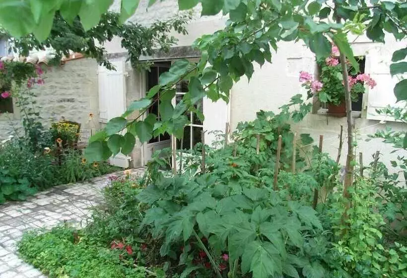 Aamiaismajoitus (B&B) La Fleur De Vigne   Maison D Hotes