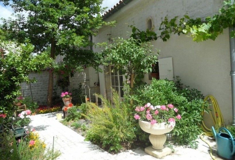 צימר La Fleur De Vigne   Maison D Hotes