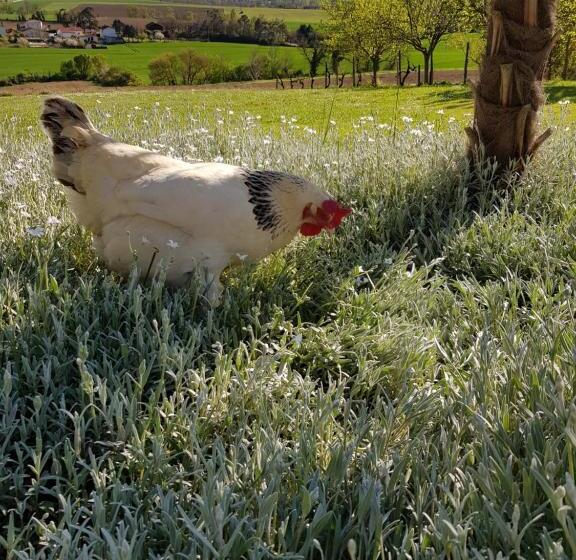 مبيت وإفطار Propriété Le Monneton