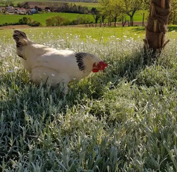 Aamiaismajoitus (B&B) Propriété Le Monneton