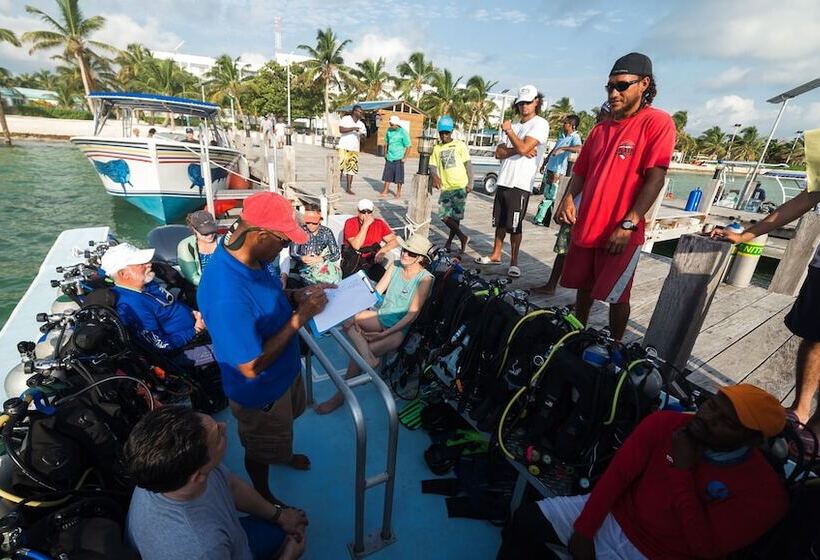 酒店 Belize Dive Haven