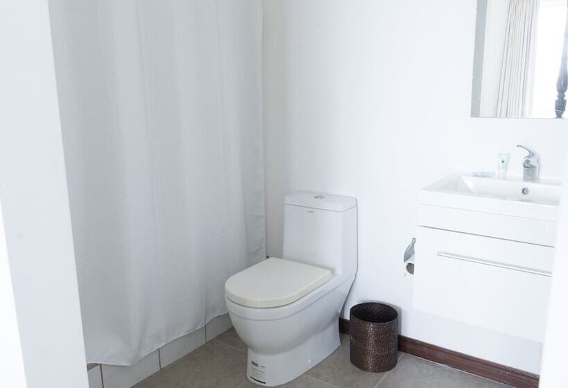 酒店 Belize Dive Haven