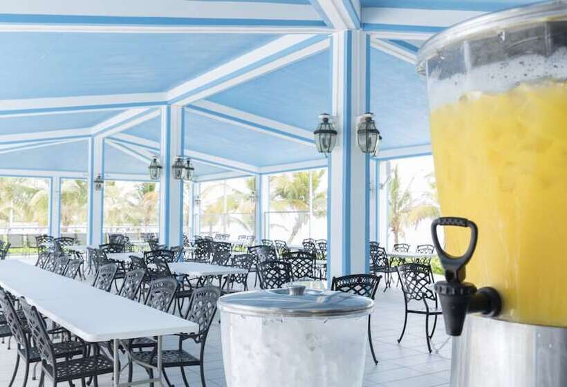 酒店 Belize Dive Haven