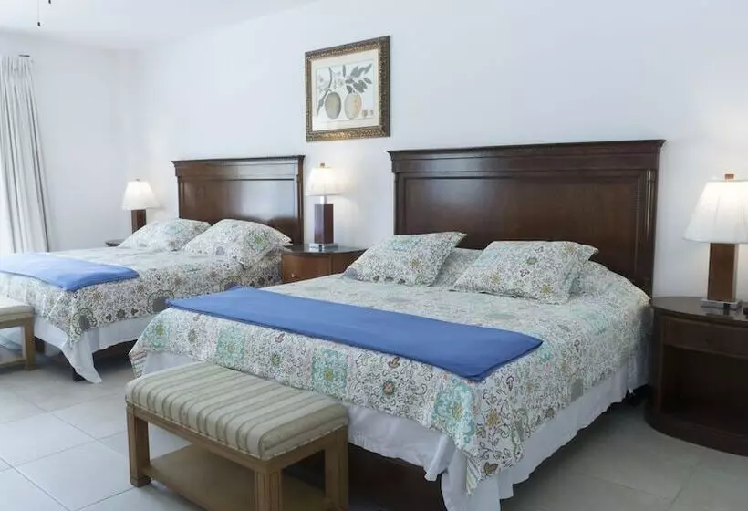 Hotelli Belize Dive Haven