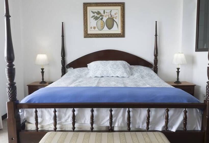 酒店 Belize Dive Haven