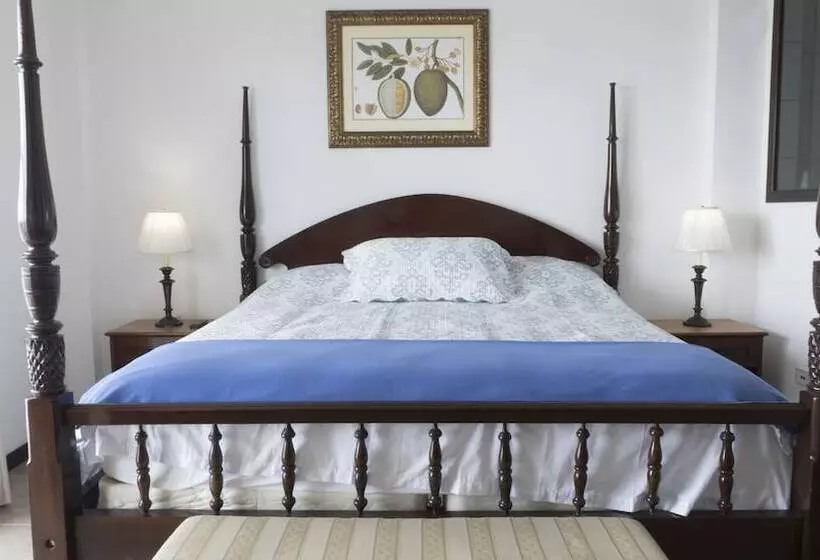 Hotelli Belize Dive Haven