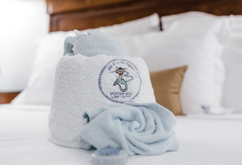 酒店 Belize Dive Haven