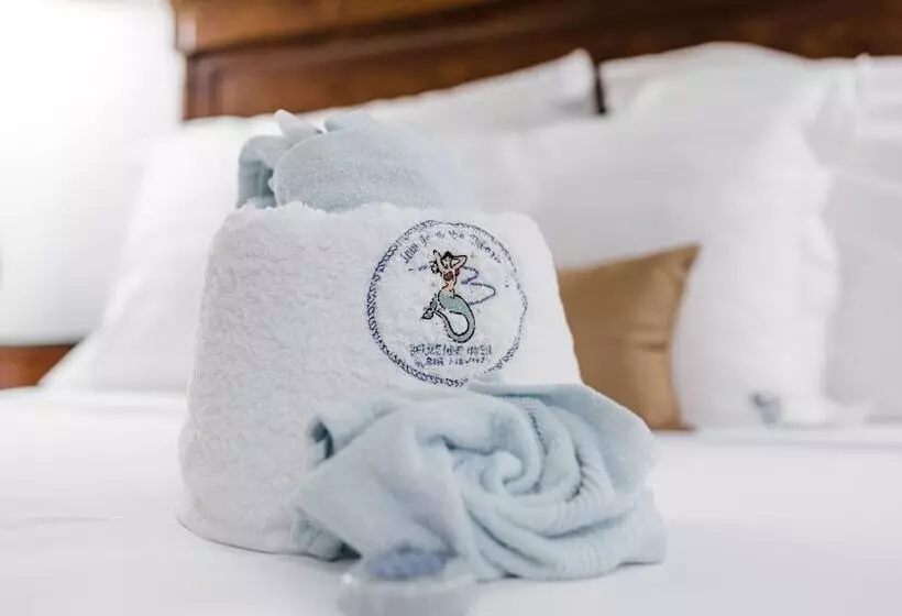 Hotelli Belize Dive Haven