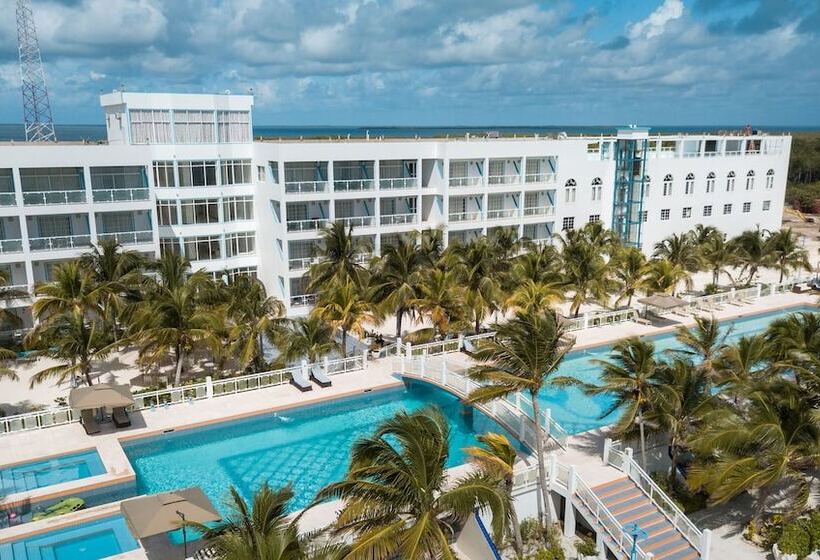 酒店 Belize Dive Haven