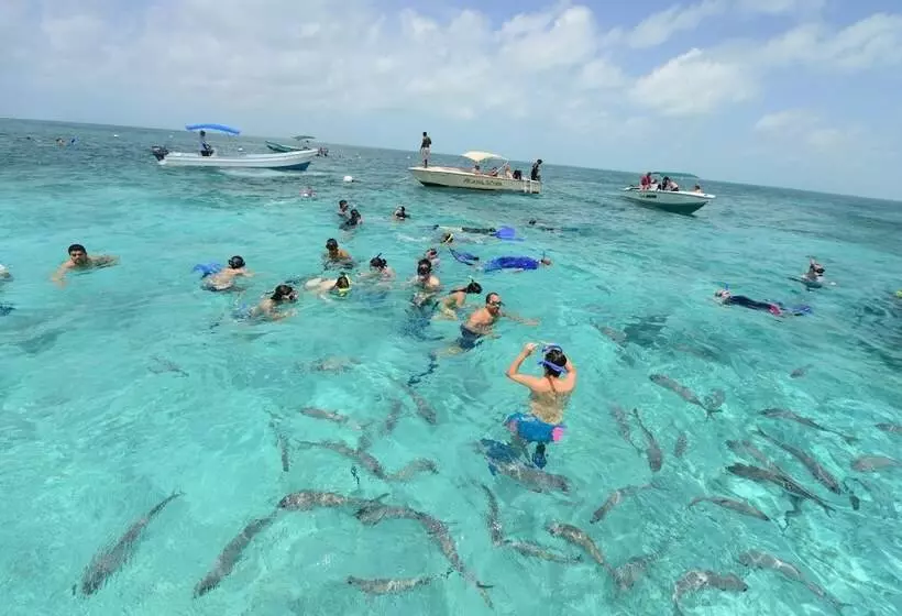 Hotelli Belize Dive Haven