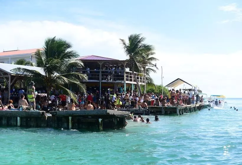 Hotelli Belize Dive Haven