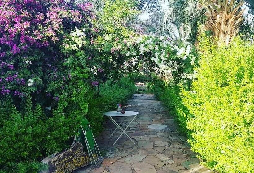 Pension (Hôtel basse catégorie) Camping Amasttou