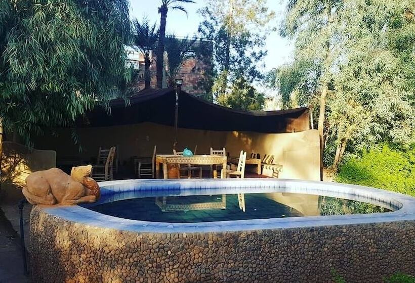 Pension (Hôtel basse catégorie) Camping Amasttou